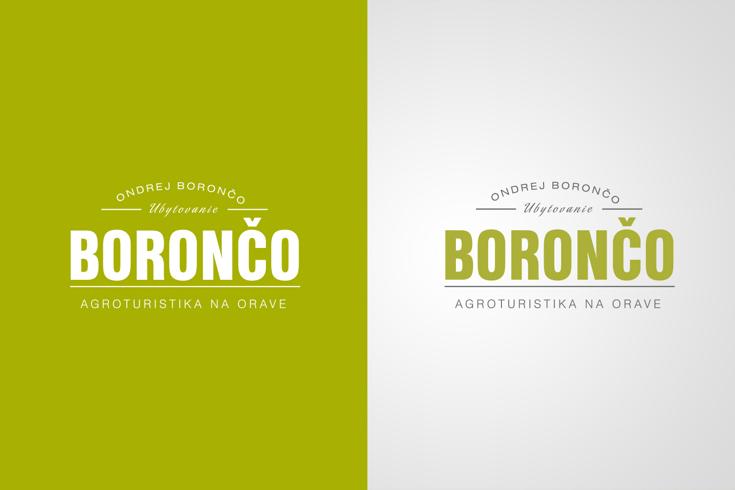 Boronco, logo & web design image