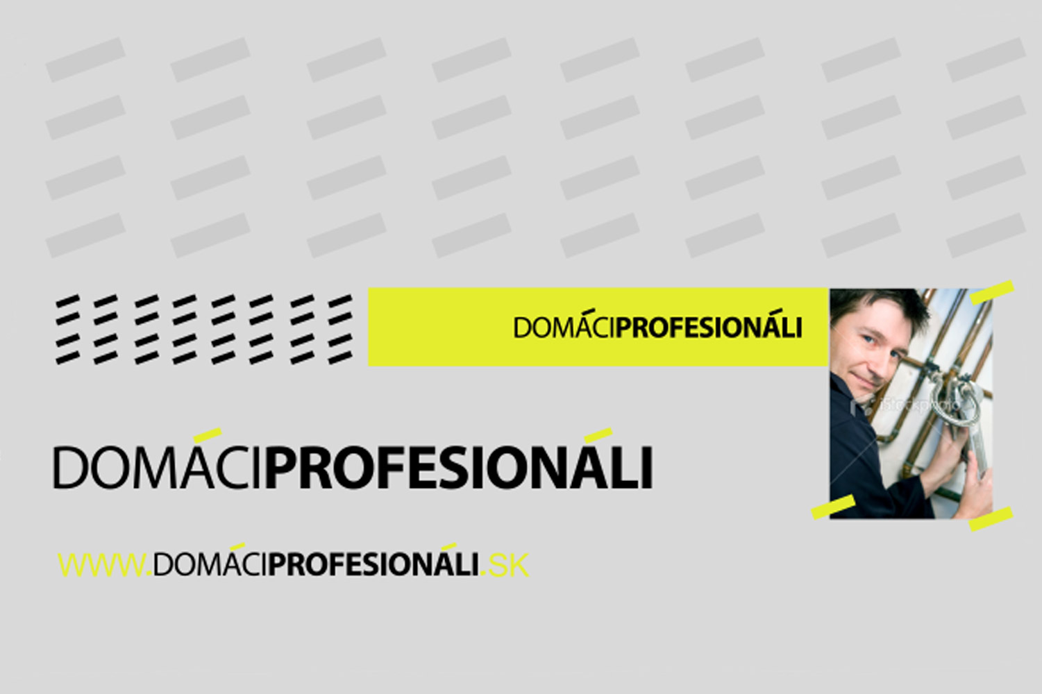 Domaci Profesionali, Corporate Identity image
